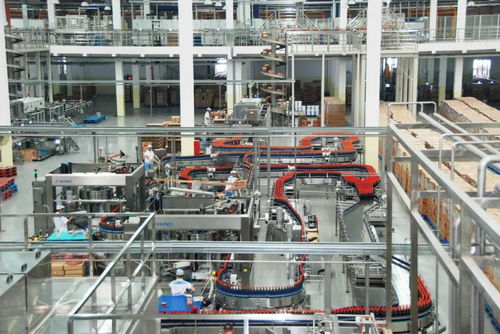 匠心鑄精品 質(zhì)量強(qiáng)佛山 九 打造美味王國(guó),這瓶醬油不簡(jiǎn)單